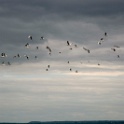 2009-07-dinard-OK (39)
